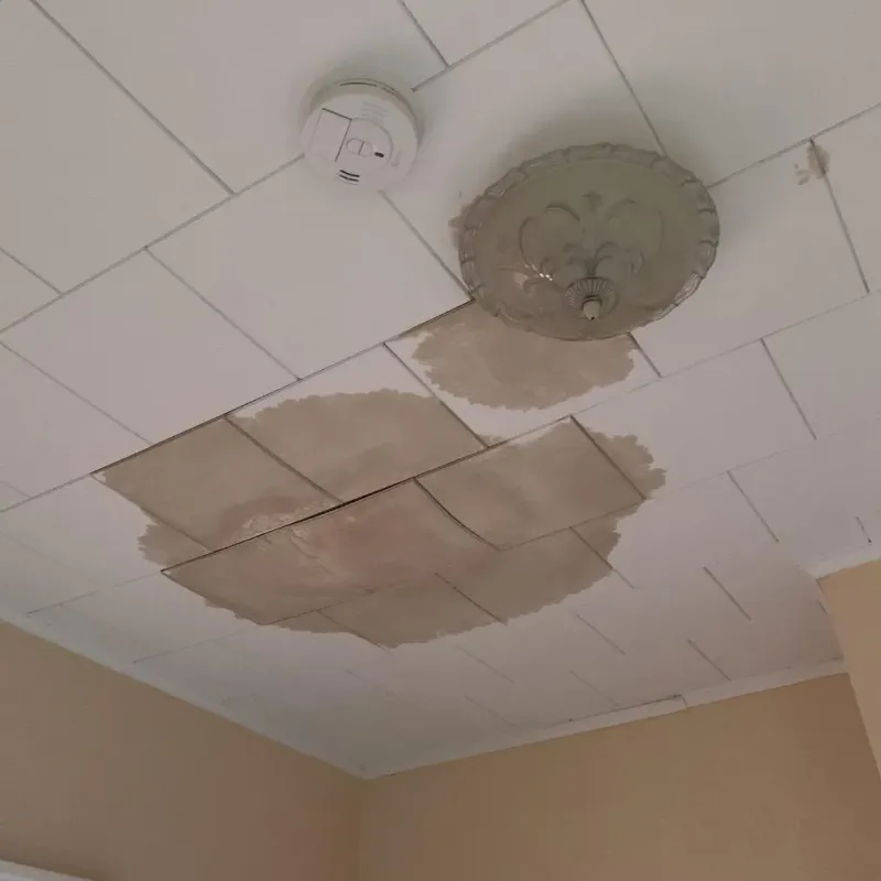 Ceiling Water Damage Repair in Morrisville, NC