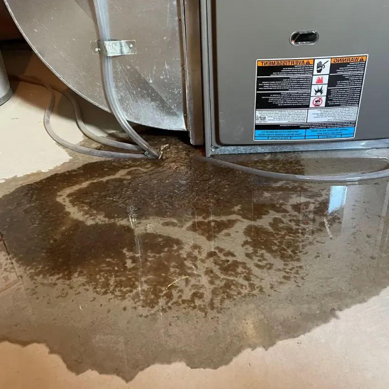 Pipe Burst and Leak Restoration in Morrisville, NC